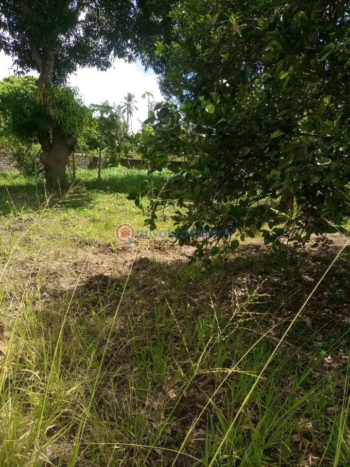 Land For Sale Mtwapa,mombasa Coast Mtwapa Kilifi - 1