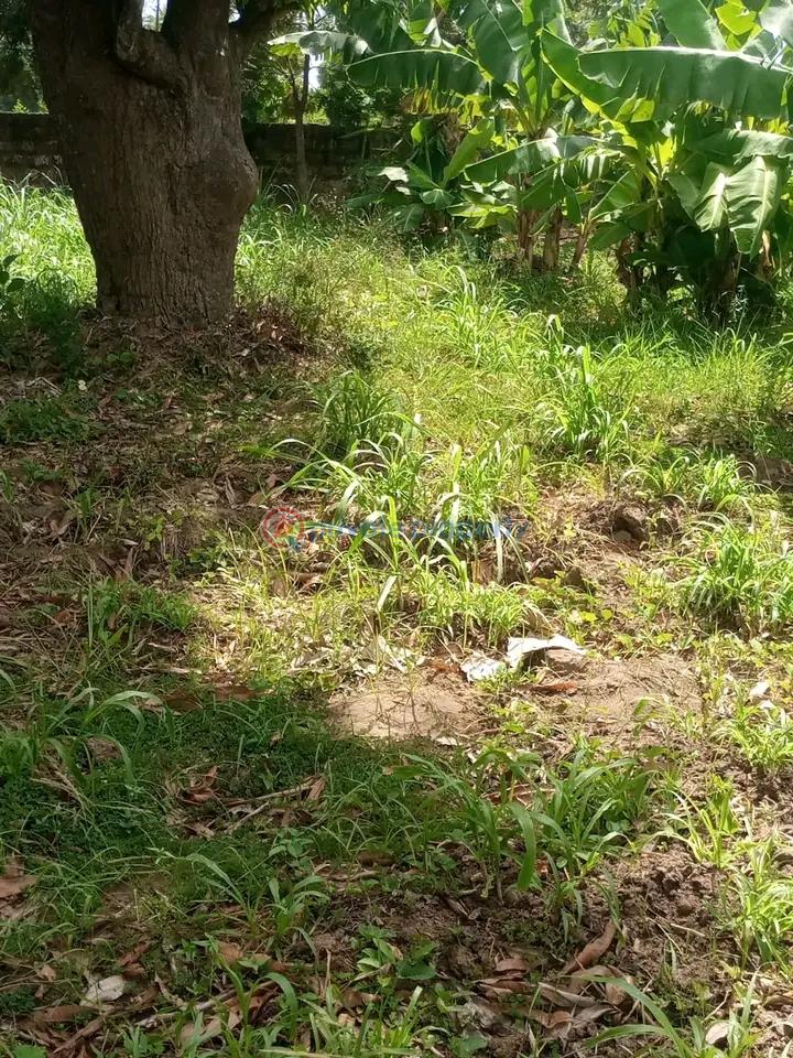 Land For Sale Mtwapa,mombasa Coast Mtwapa Kilifi - 2