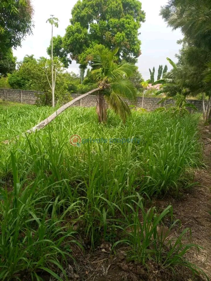 Land For Sale Mtwapa,mombasa Coast Mtwapa Kilifi - 9