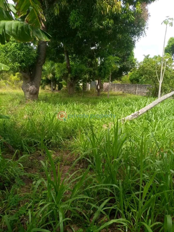 Land For Sale Mtwapa,mombasa Coast Mtwapa Kilifi - 10