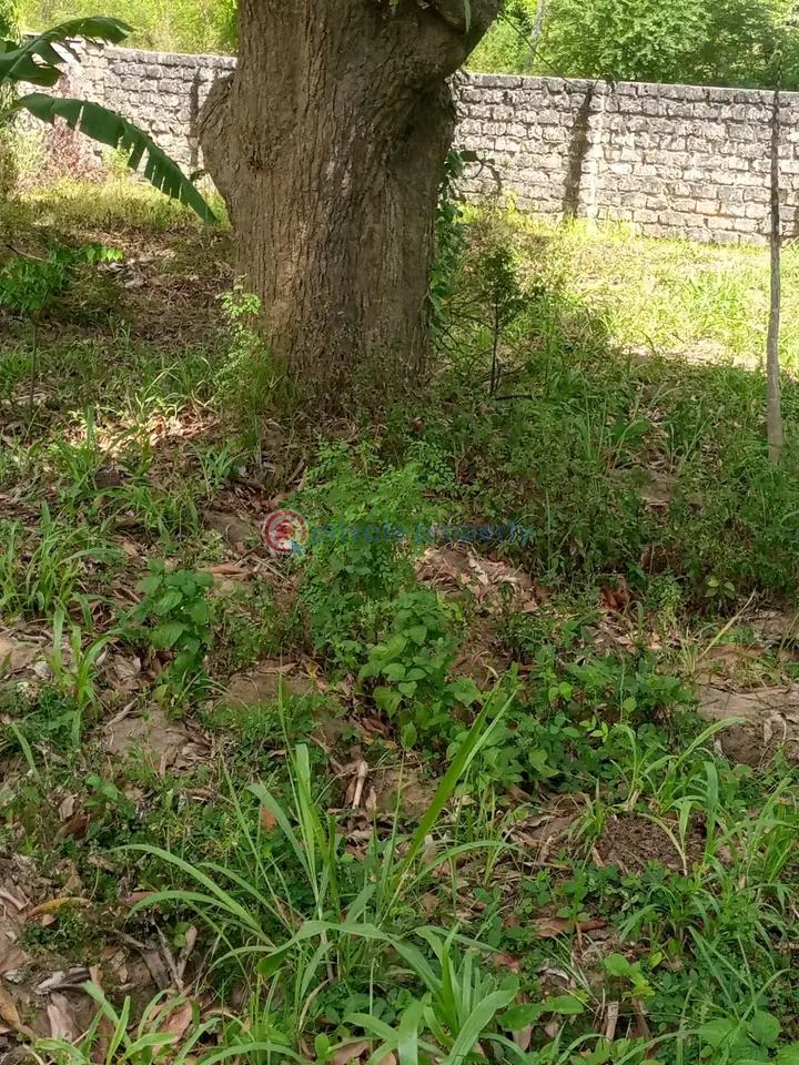 Land For Sale Mtwapa,mombasa Coast Mtwapa Kilifi - 7