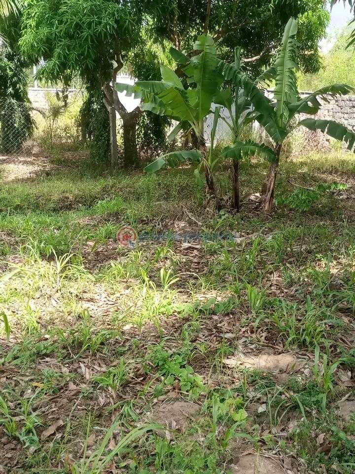Land For Sale Mtwapa,mombasa Coast Mtwapa Kilifi - 11