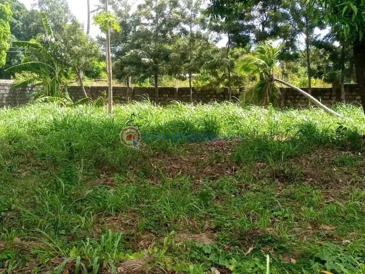 Land For Sale Mtwapa,mombasa Coast Mtwapa Kilifi - 3