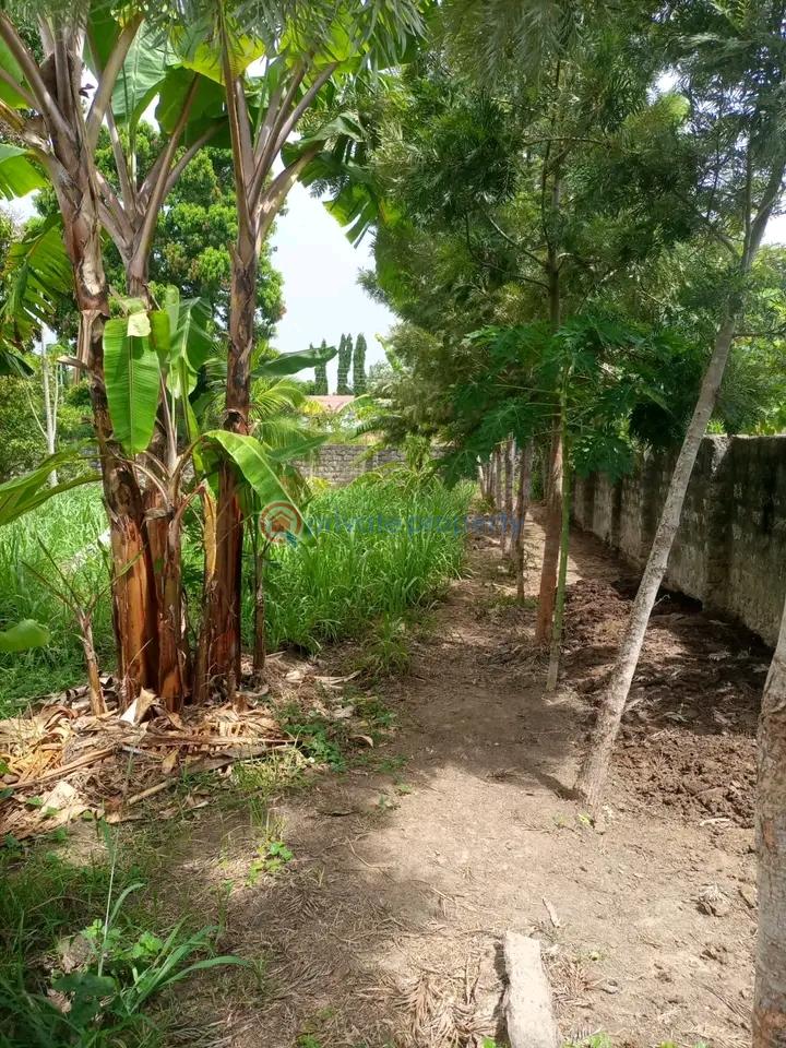 Land For Sale Mtwapa,mombasa Coast Mtwapa Kilifi - 8