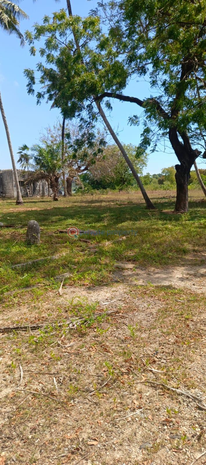 Land For Sale Mombasa, Shanzu Shanzu Mombasa - 17
