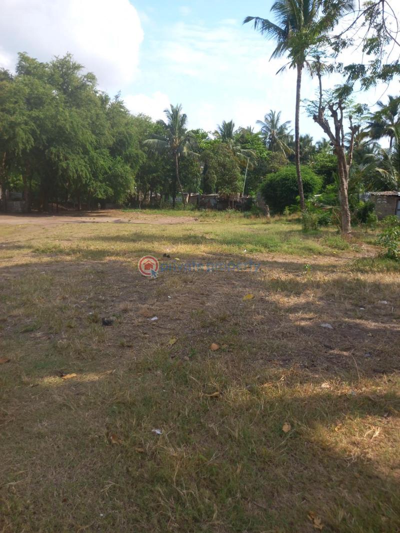Land For Sale Mtwapa Kanamai Kanamai Mtwapa Kilifi - 3