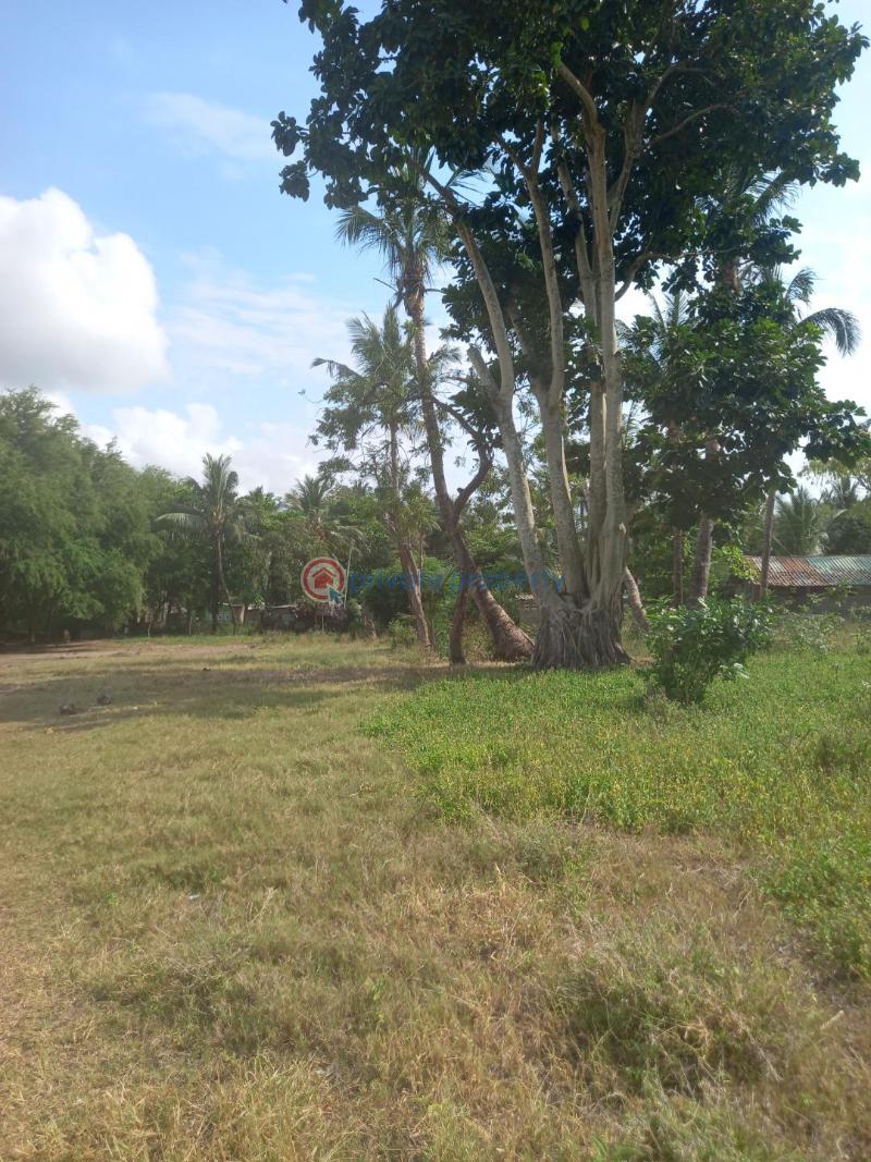 Land For Sale Mtwapa Kanamai Kanamai Mtwapa Kilifi - 8