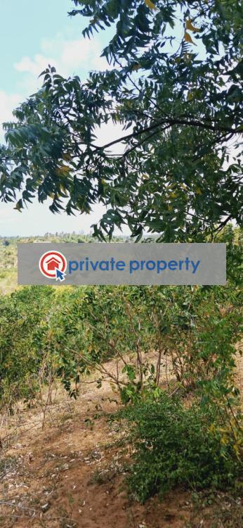 Mixed use Land For Sale Bamba Kilifi - 1