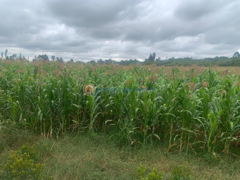 Land For Sale Mutanga, Nyahururu Rumuruti Township Laikipia - 7