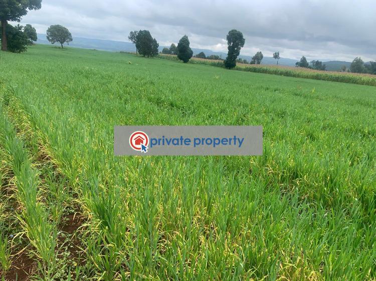 Mixed use Land For Sale &nbsp;mutanga Rumuruti Township Laikipia - 4