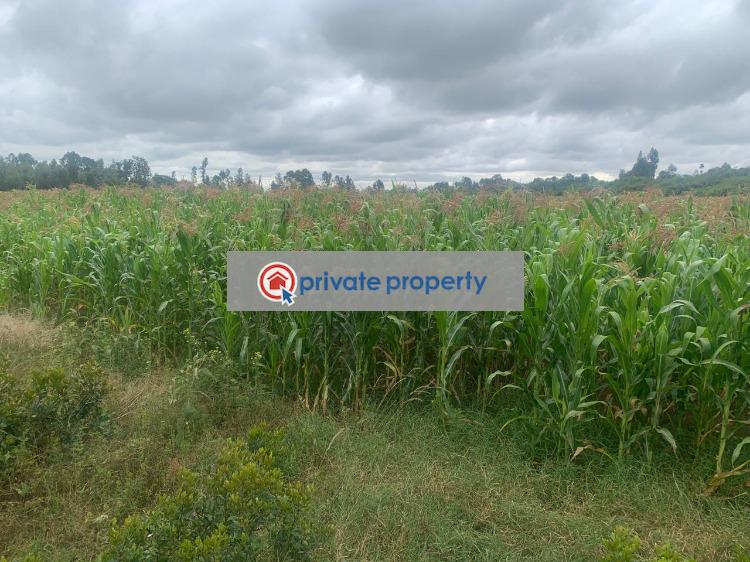 Mixed use Land For Sale &nbsp;mutanga Rumuruti Township Laikipia - 5