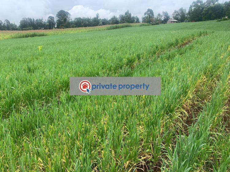 Mixed use Land For Sale &nbsp;mutanga Rumuruti Township Laikipia - 1
