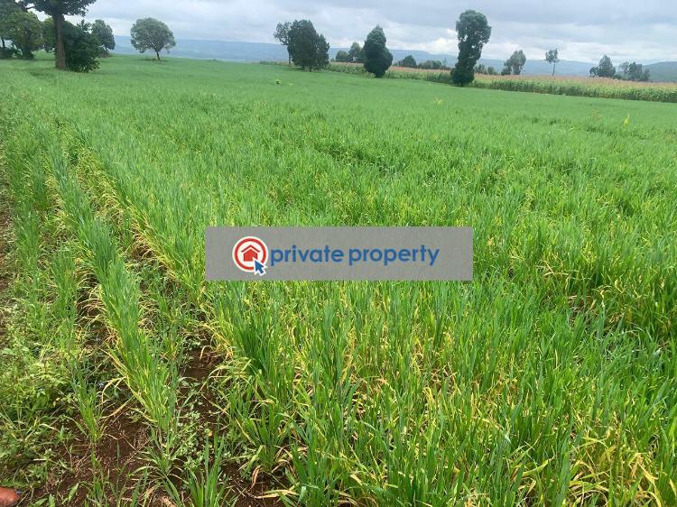 Mixed use Land For Sale &nbsp;mutanga Rumuruti Township Laikipia - 3