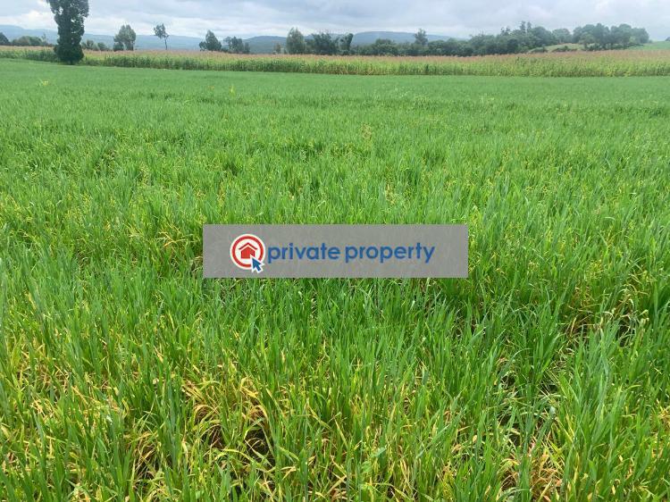 Mixed use Land For Sale &nbsp;mutanga Rumuruti Township Laikipia - 2