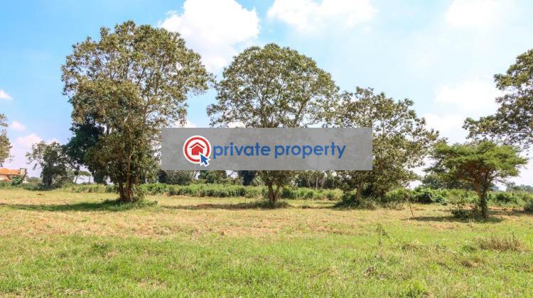 Residential Land For Sale &nbsp;riabai Road Migaa Ruiru Kiambu - 21