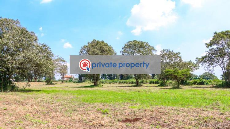Residential Land For Sale &nbsp;riabai Road Migaa Ruiru Kiambu - 23