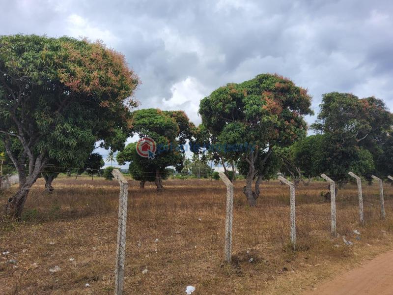 Land For Sale Sultan Palace Rd, Kikambala Kikambala Mtwapa Kilifi - 1