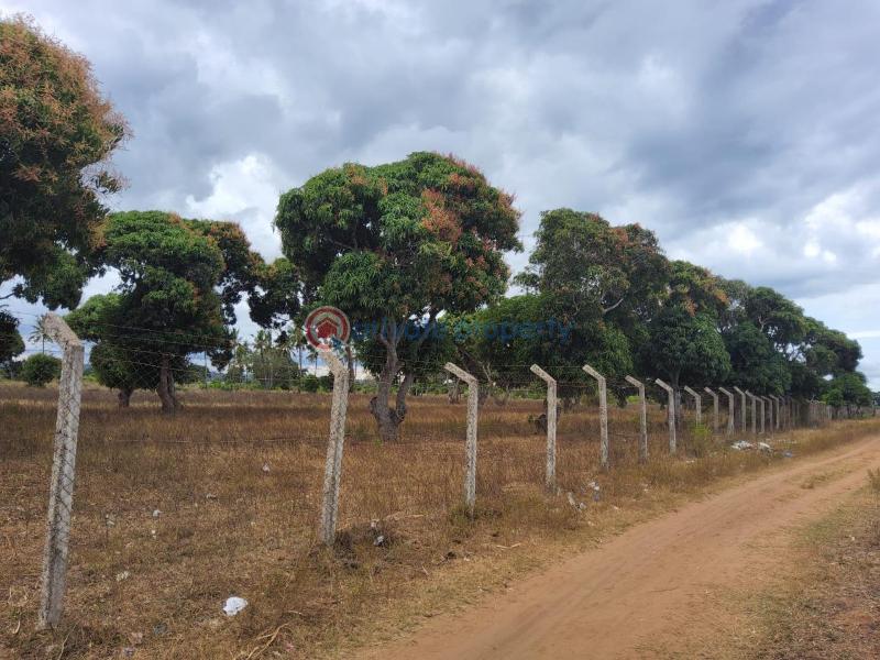 Land For Sale Sultan Palace Rd, Kikambala Kikambala Mtwapa Kilifi - 2