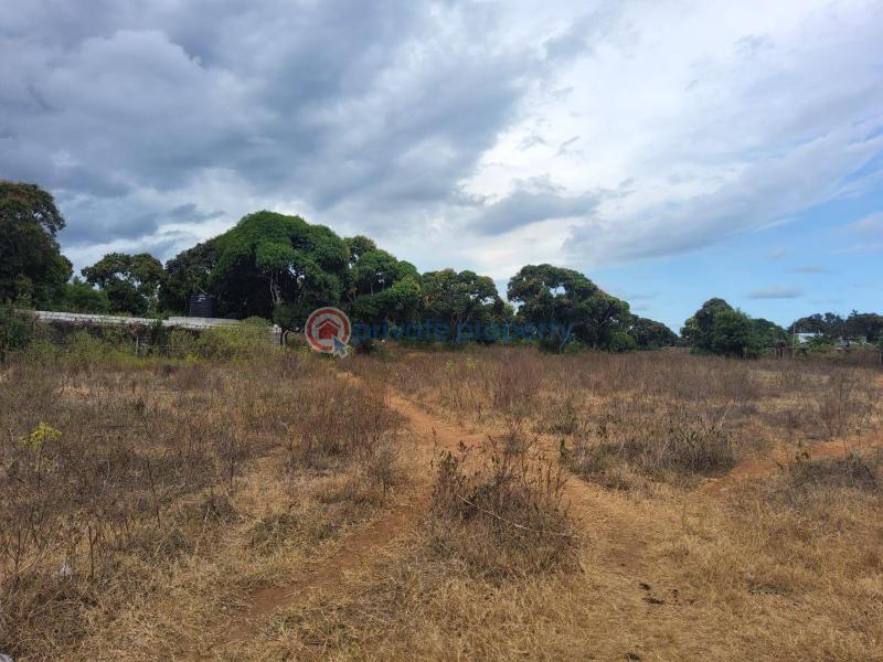 Land For Sale Sultan Palace Rd, Kikambala Kikambala Mtwapa Kilifi - 4
