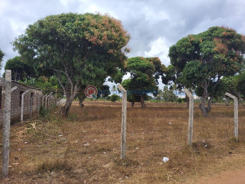 Land For Sale Sultan Palace Rd, Kikambala Kikambala Mtwapa Kilifi - 3