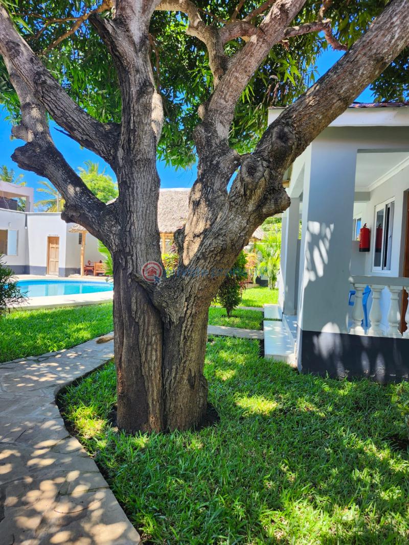 1 bedroom House Short let Diani Kenya Diani Beach Ukunda Kwale - 13