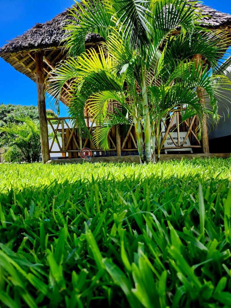 1 bedroom House Short let Diani Kenya Diani Beach Ukunda Kwale - 12