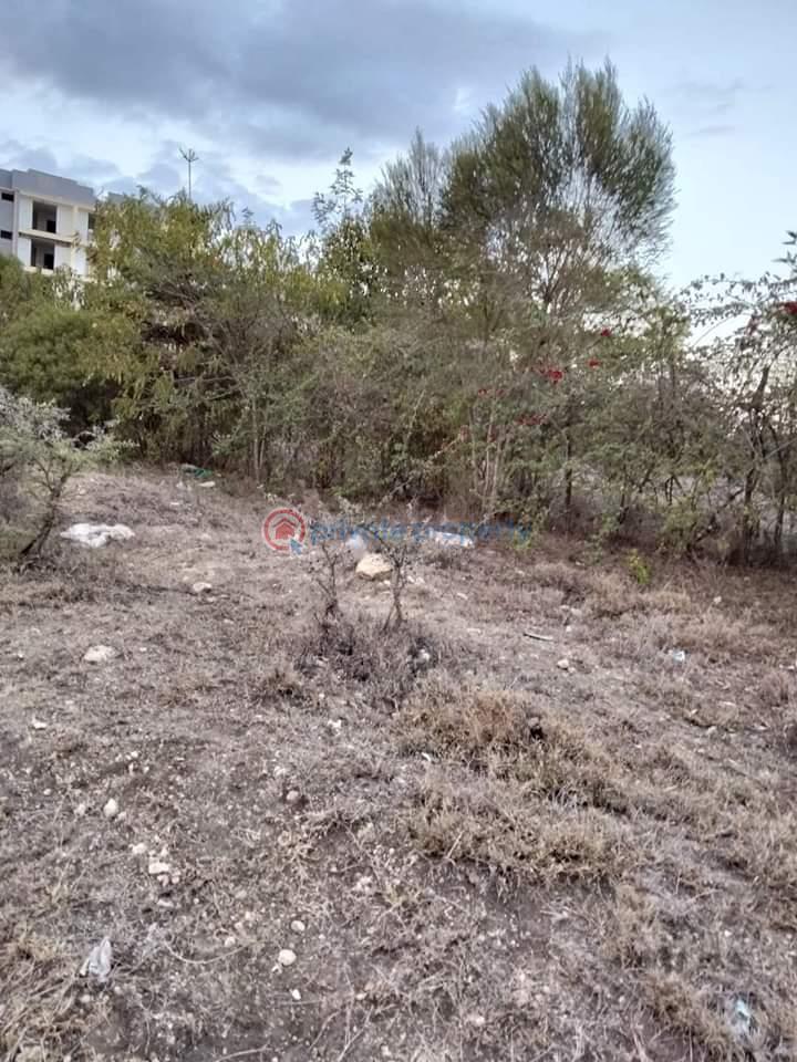 Commercial Land For Sale Korompoi, Namanga Road. Kaputiei North Kajiado - 3