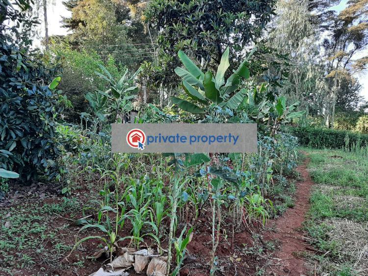 Land For Sale kerarapon Dive 19 Ngong Kajiado (PID 3PABSH) Private