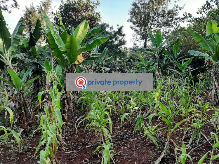 Land For Sale kerarapon Dive 19 Ngong Kajiado (PID 6PABSF) Private