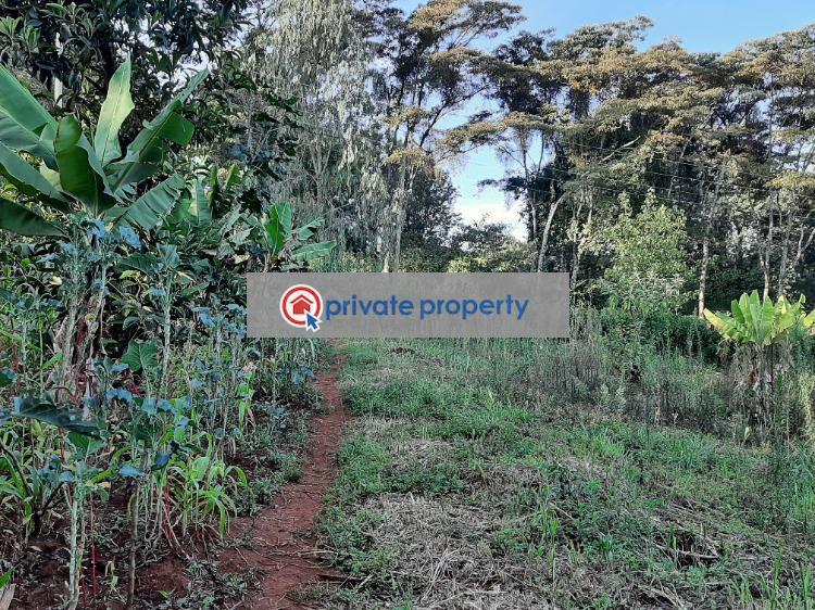 Land For Sale kerarapon Dive 19 Ngong Kajiado (PID 6PABSF) Private