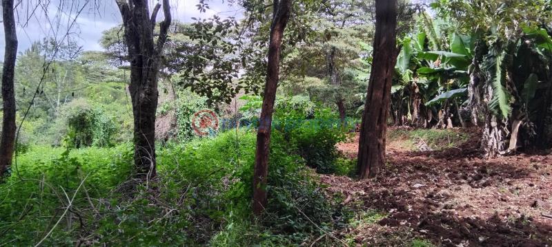 Land For Sale Nairobi Karen  - 2