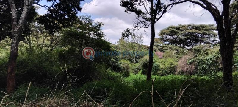 Land For Sale Nairobi Karen  - 3