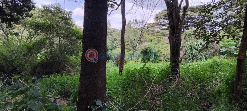 Land For Sale Nairobi Karen  - 0