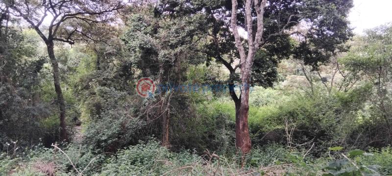 House For Sale Nairobi Karen  - 1
