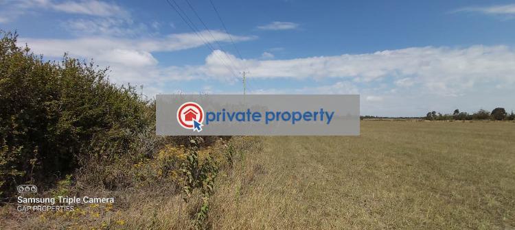 Commercial Land For Sale &nbsp;muriru Nanyuki (upper Burguret Nanyuki Laikipia - 4