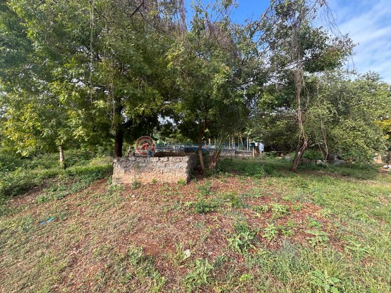 Land For Sale Diani Beach Rd Ukunda. Kwale - 0
