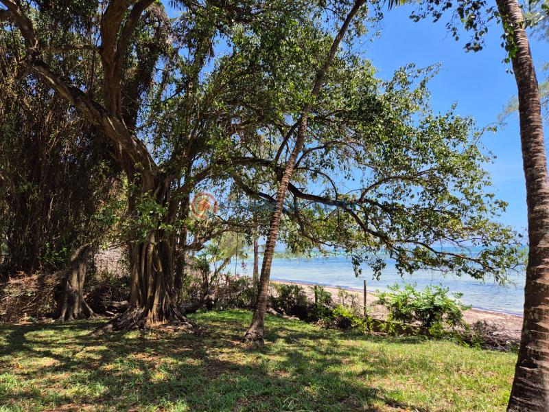 Land For Sale Nyali Mombasa  - 13
