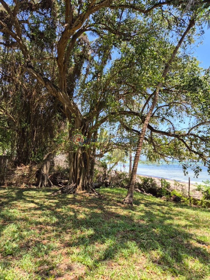 Land For Sale Nyali Mombasa  - 1