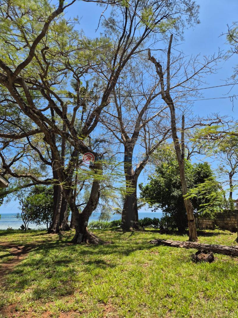 Land For Sale Nyali Mombasa  - 6