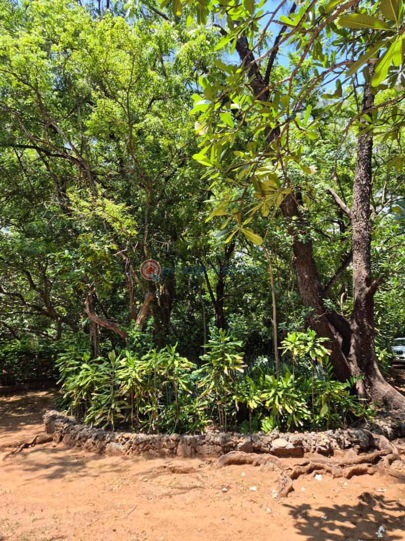 Land For Sale Nyali Mombasa  - 12