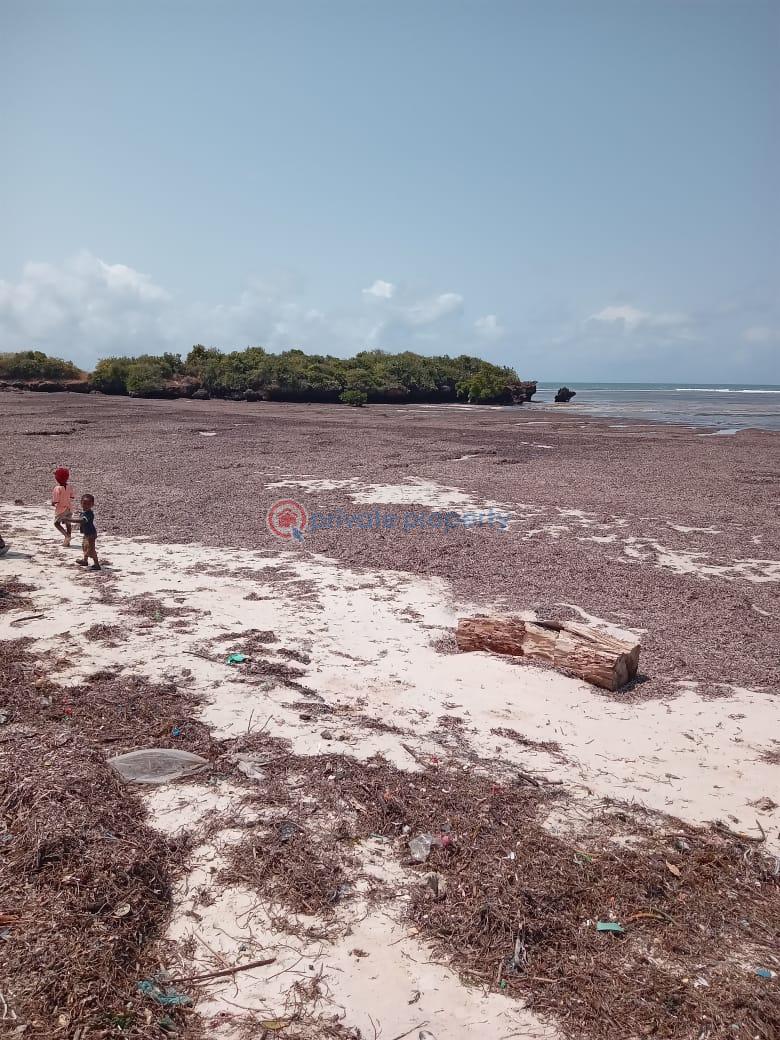 Land For Sale Msambweni Kwale Kilifi. Malindi Town  - 2