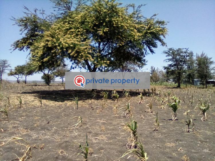 Mixed use Land For Sale &nbsp;kiserian Ongata Rongai Kajiado - 2