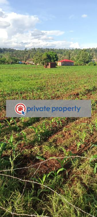 Mixed use Land For Sale Kariti Kirinyaga - 1