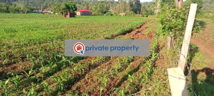 Mixed use Land For Sale Kariti Kirinyaga - 2