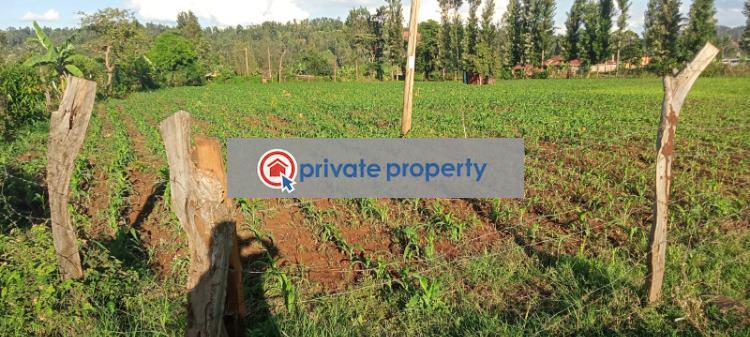Mixed use Land For Sale Kariti Kirinyaga - 3