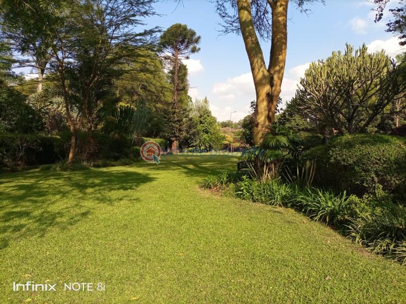 Land For Sale Lavington Nairobi - 3