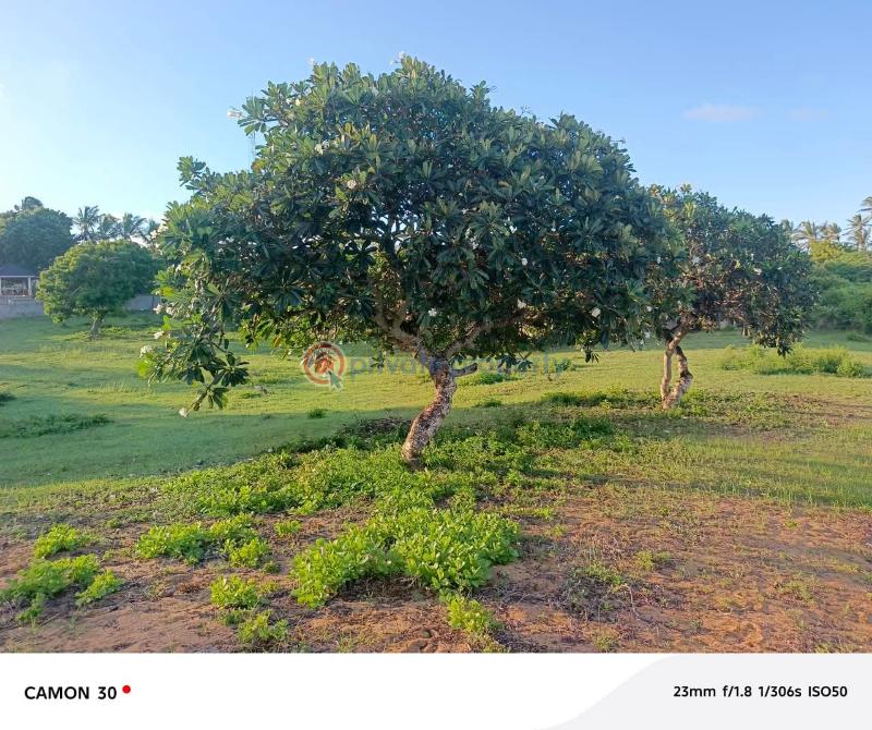 Land For Sale Kilifi, Bofa Mnarani Kilifi - 4