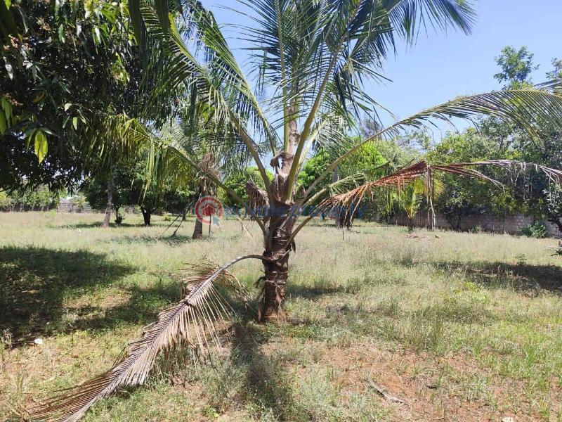 Land For Sale Kilifi , Bofa Mnarani Kilifi - 2