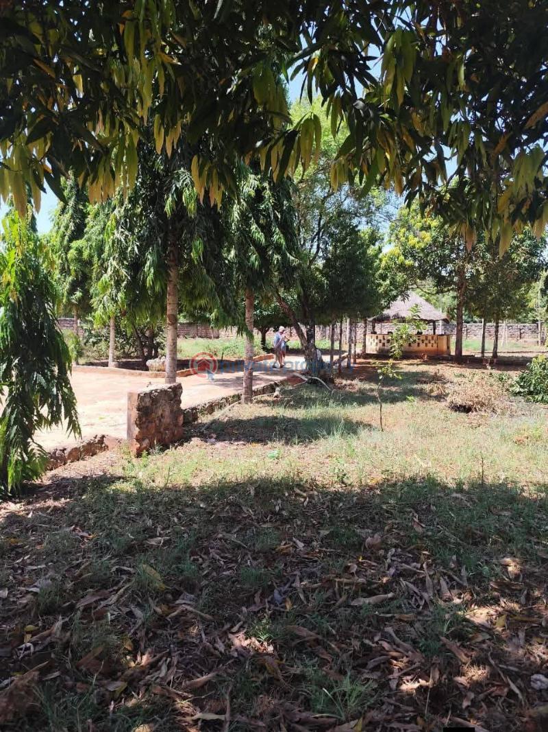 Land For Sale Kilifi , Bofa Mnarani Kilifi - 4