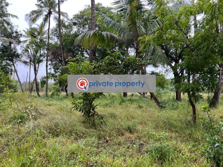 Land For Sale &nbsp;ls164 Kilifi Takaungu Junju Kilifi - 4